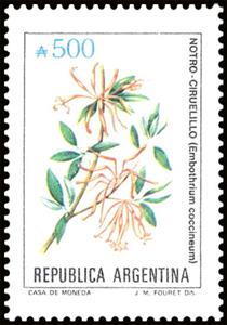 Stamp, Notro-Ciruelillo (Embothrium coccineum), Argentina,  , Flowers, Plants (Flora)