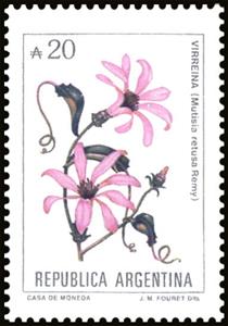 Stamp, Virrenya (Mutisia retusa), Argentina,  , Flowers, Plants (Flora)