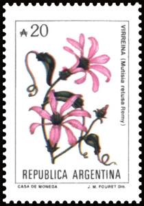 Stamp, Virrenya (Mutisia retusa), Argentina,  , Flowers, Plants (Flora)