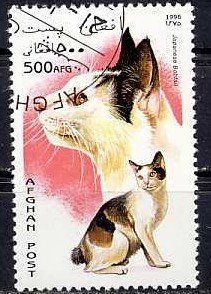 Stamp, Japanese Bobtail (Felis silvestris catus), Afghanistan,  , Cats