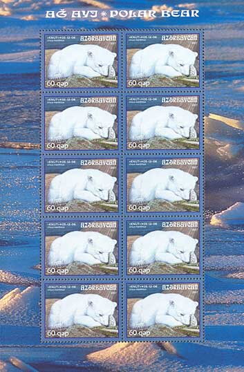 Polar Bear (Ursus maritimus) - "Knut"