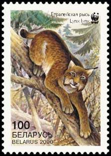 Stamp European Lynx (view 2), WWF