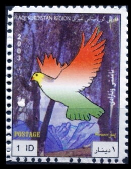 Birds