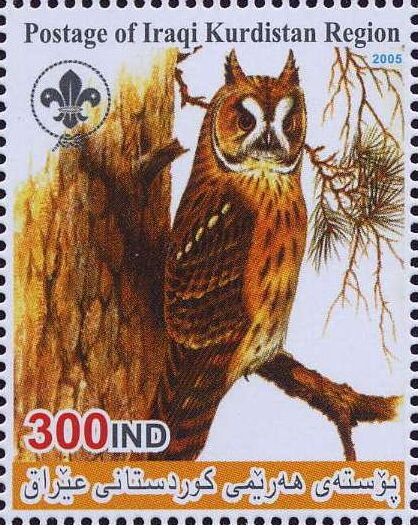 Owl