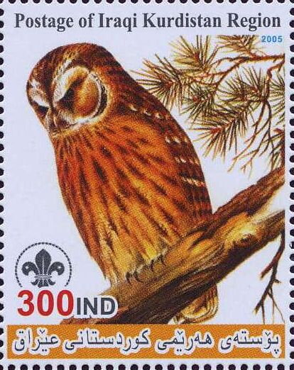 Owl