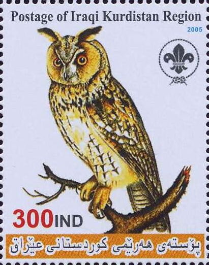 Owl