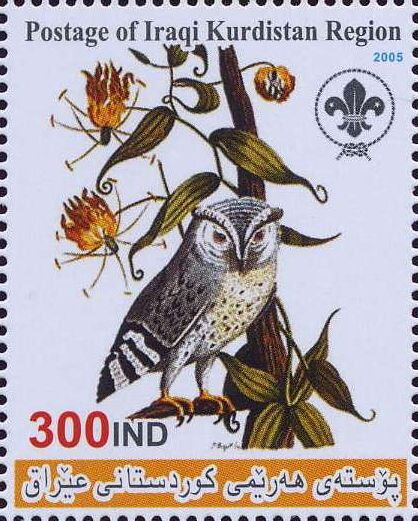 Owl
