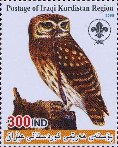 Owl