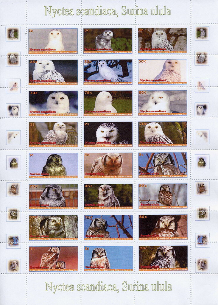 Owls