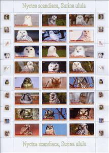 Mini Sheet, Owls, Equatorial Guinea,  , Animals (Fauna), Birds, Owls