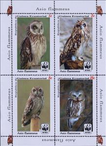 Mini Sheet, Owls, Equatorial Guinea,  , Animals (Fauna), Birds, Owls