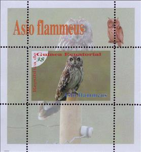 Souvenir Sheet, Owls, Equatorial Guinea,  , Animals (Fauna), Birds, Owls