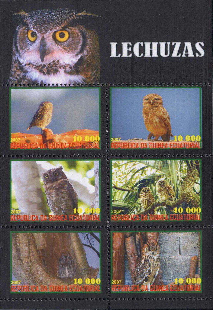 Owls