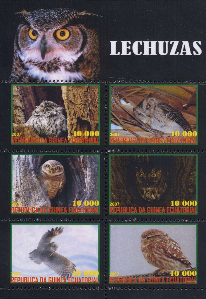Owls
