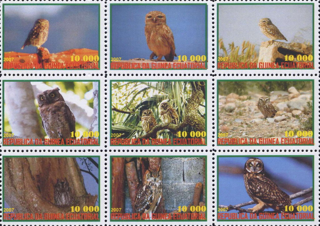 Owls