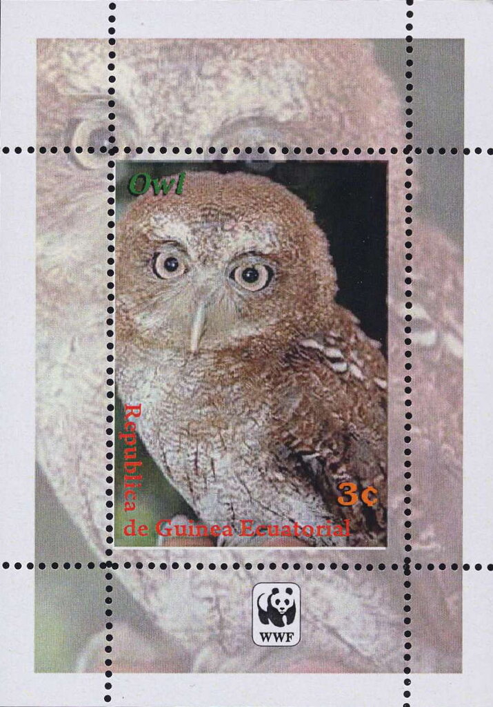 Owls