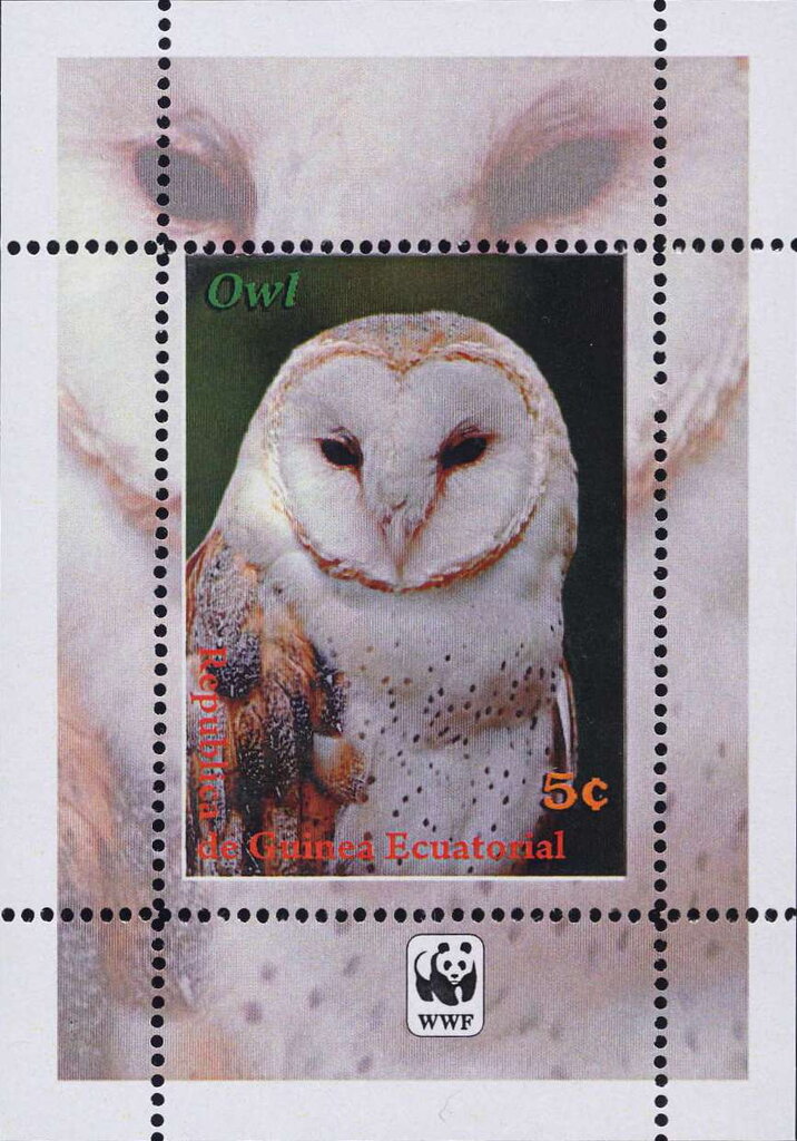 Owls