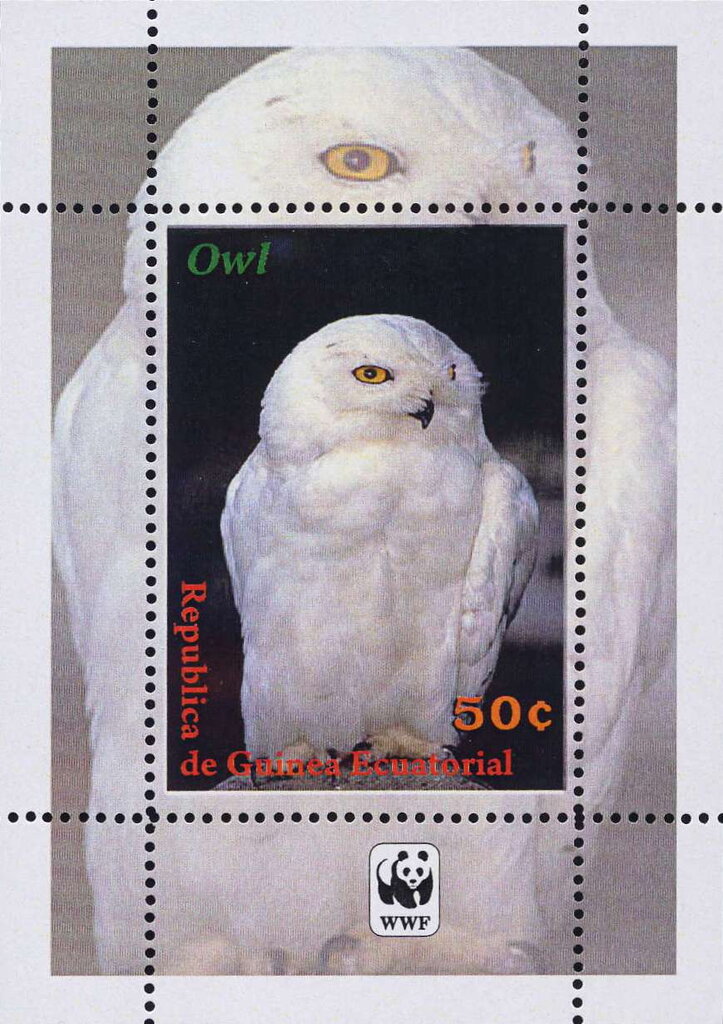 Owls