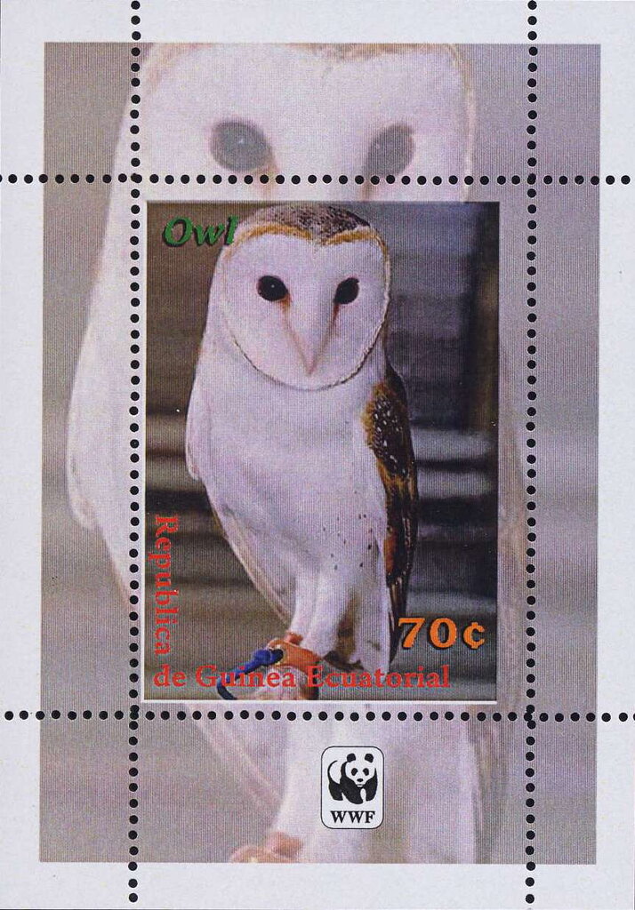 Owls