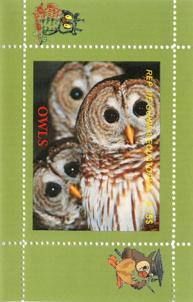 Owls