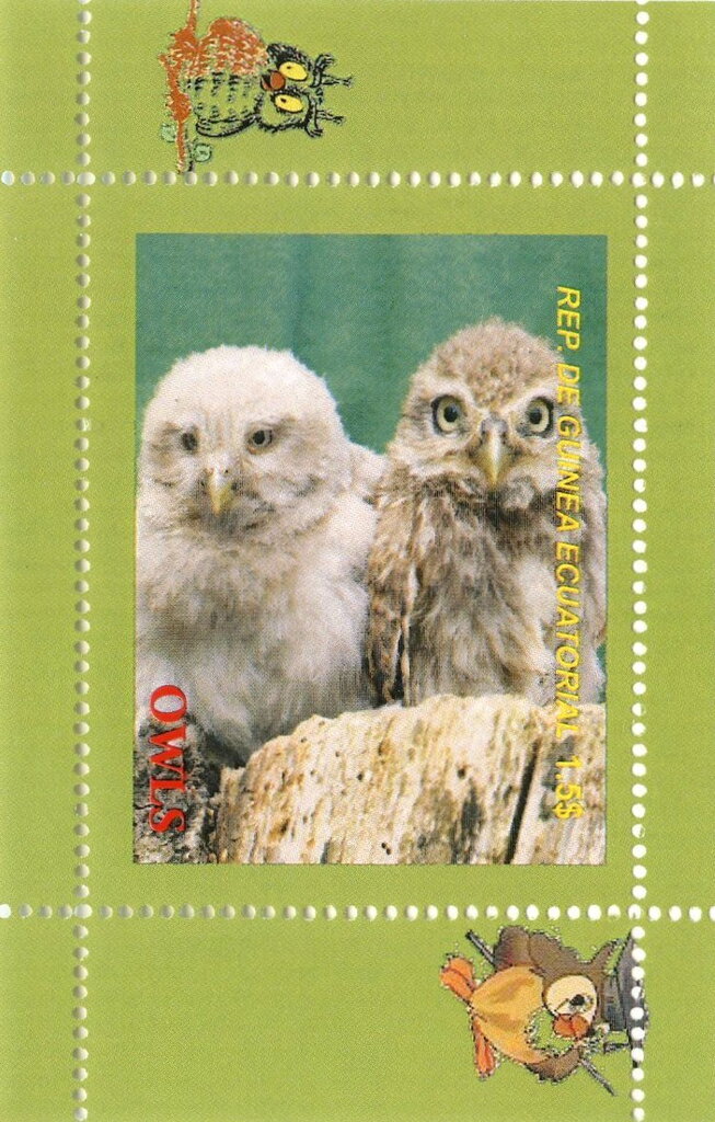 Owls