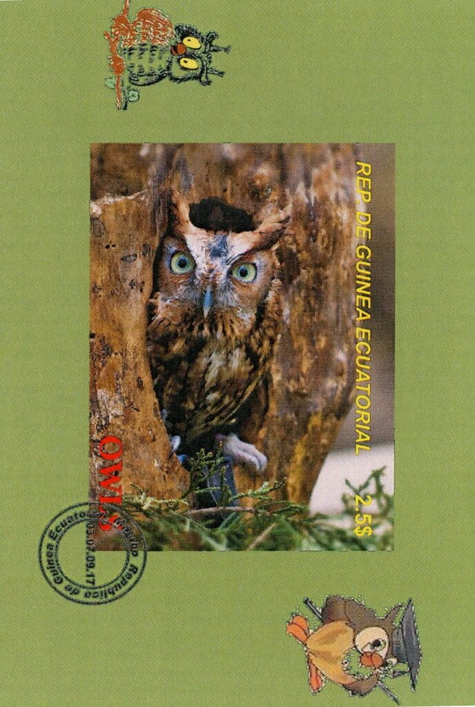 Owls