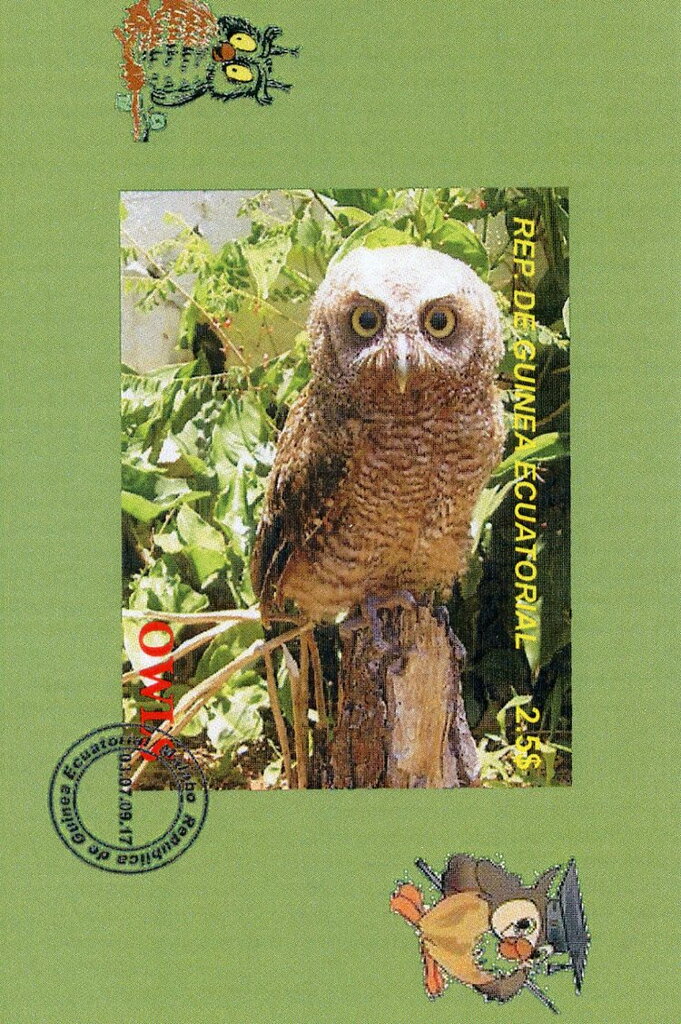Owls