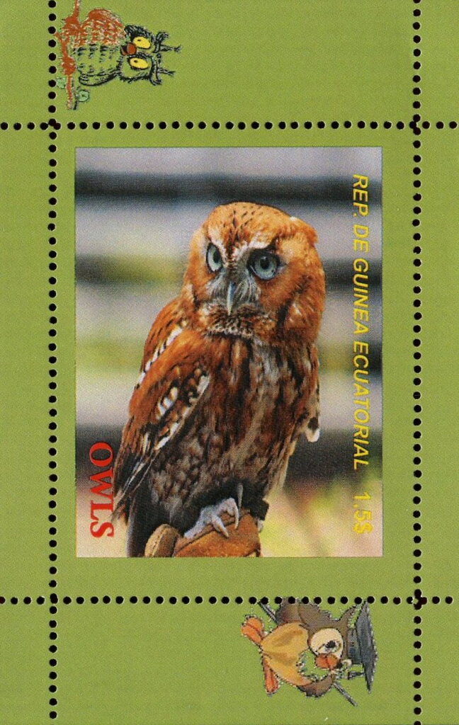 Owls