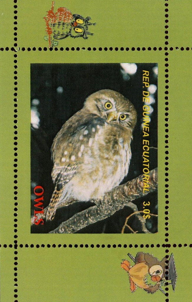 Owls