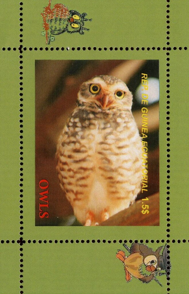 Owls