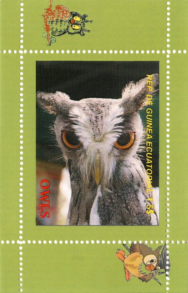 Owls