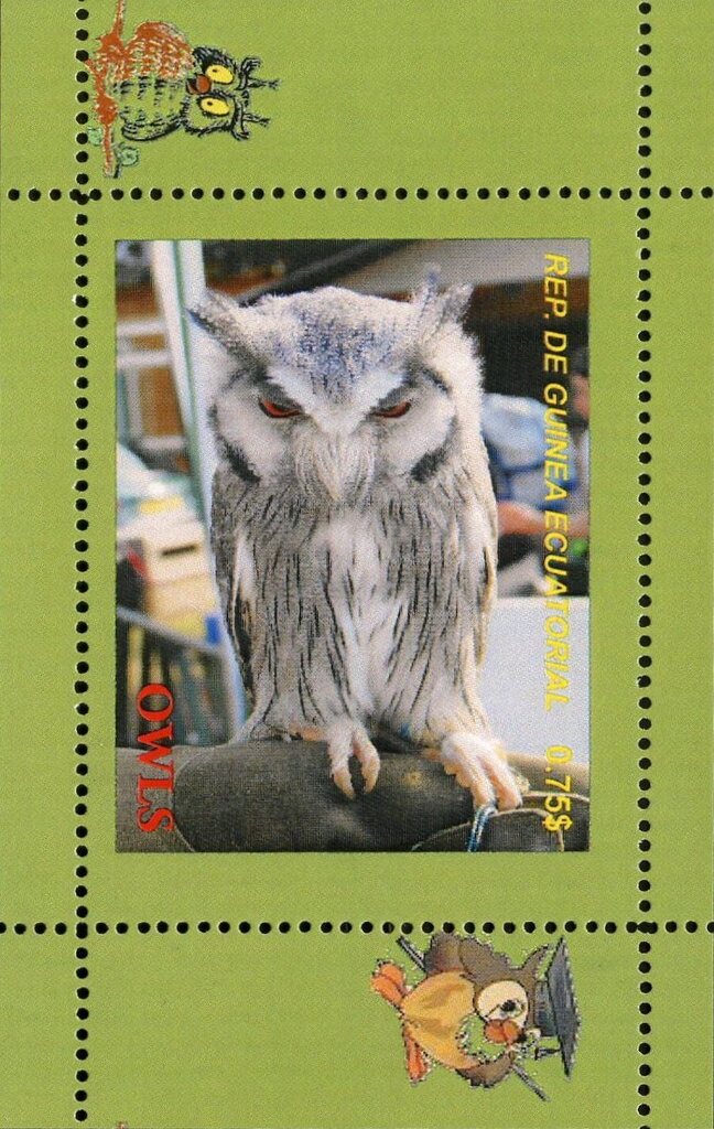 Owls