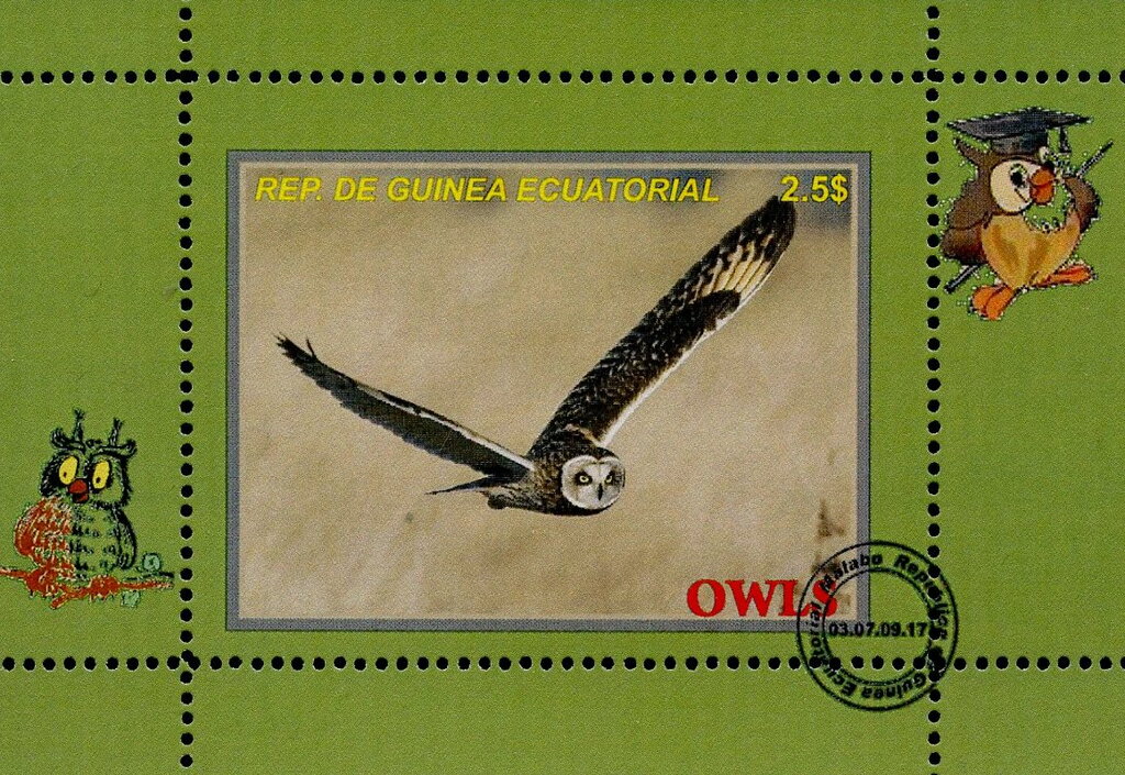 Owls