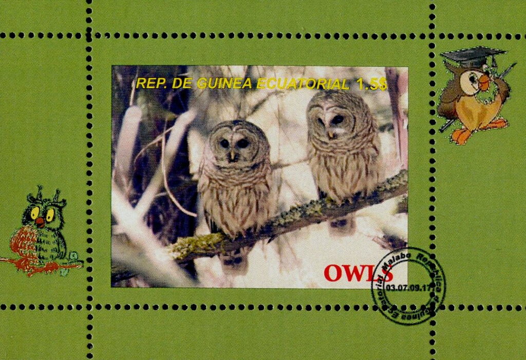 Owls