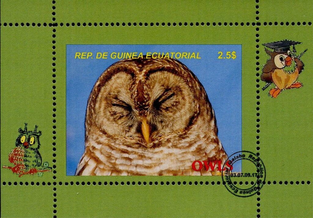 Owls