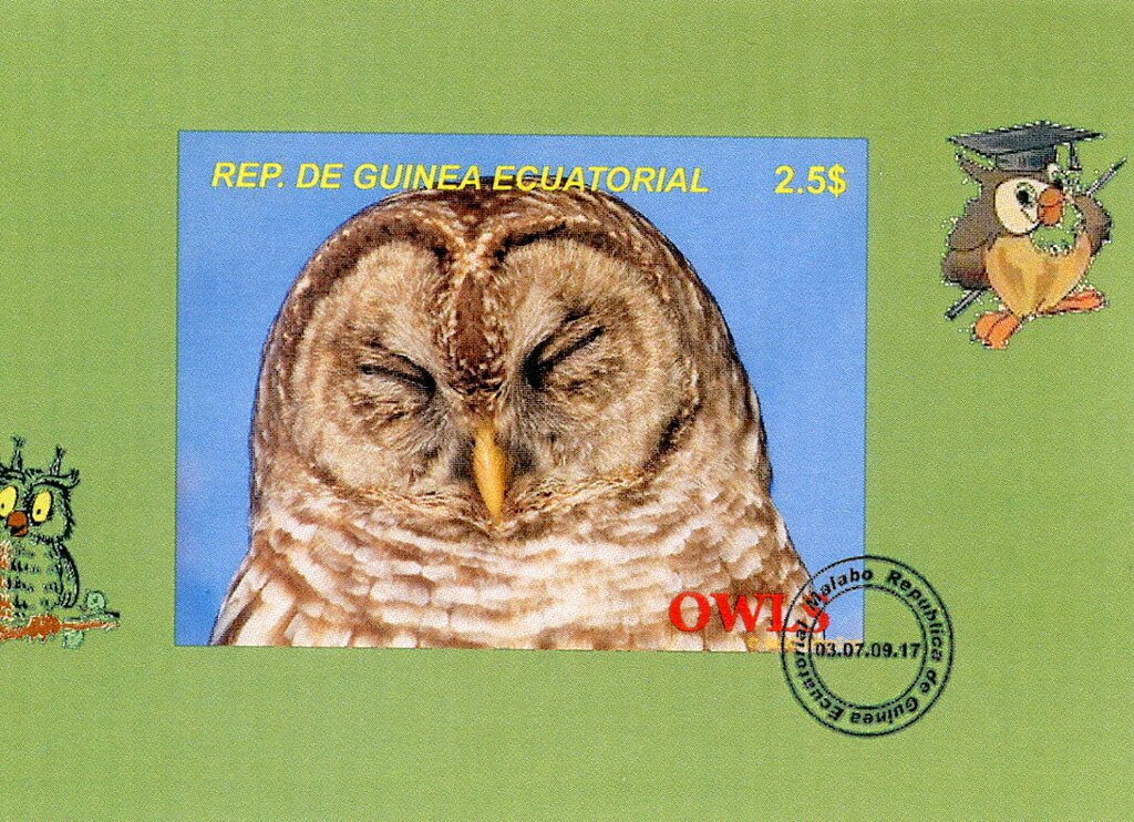 Owls