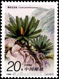 Stamp, Cycas panzhihuaensis L. Zhoun et S.Y. Yang, China, People's Republic,  , Flowers