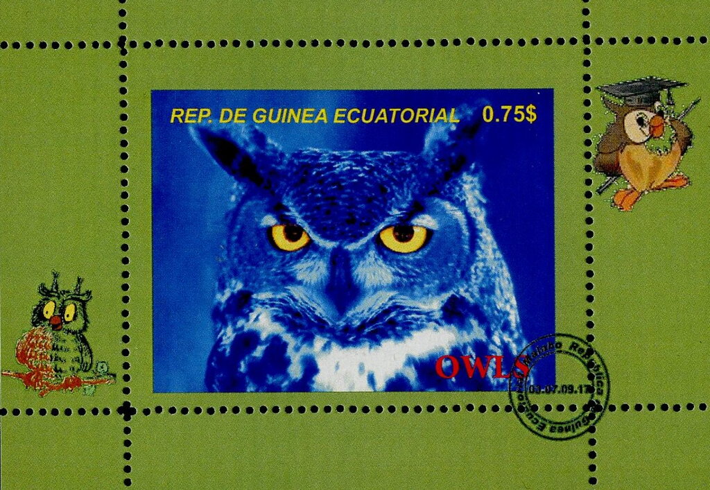 Owls