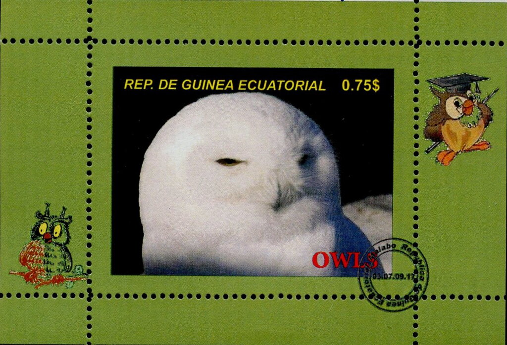 Owls