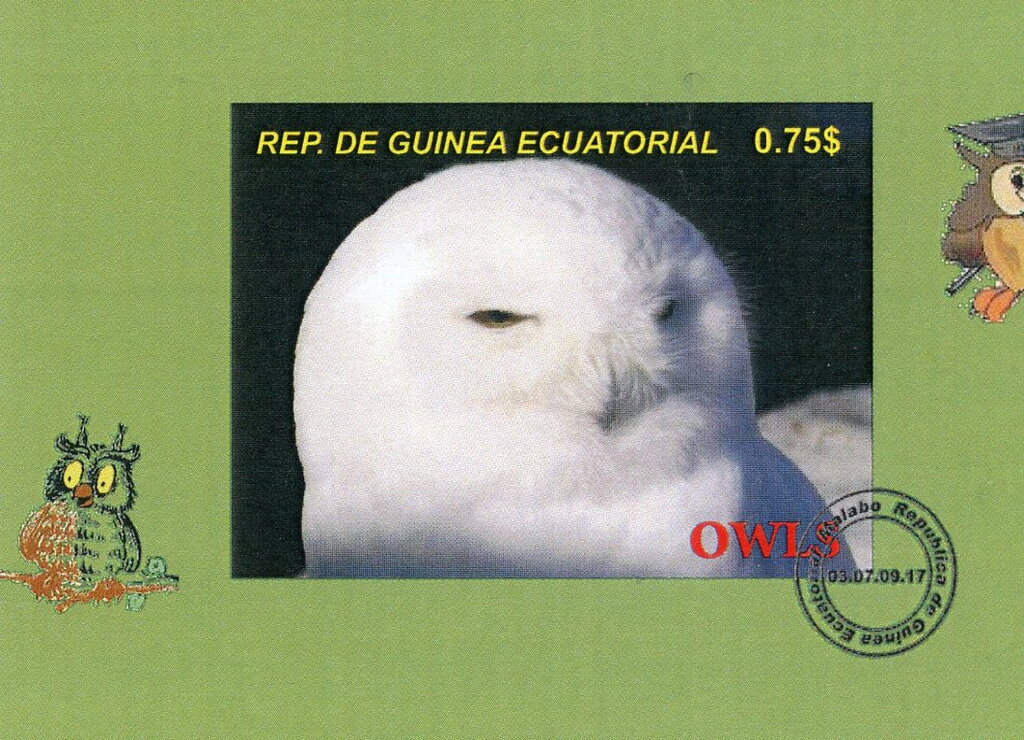 Owls