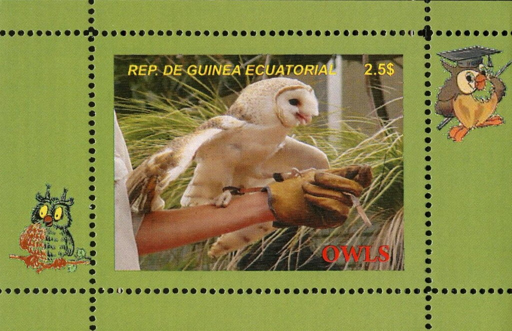 Owls
