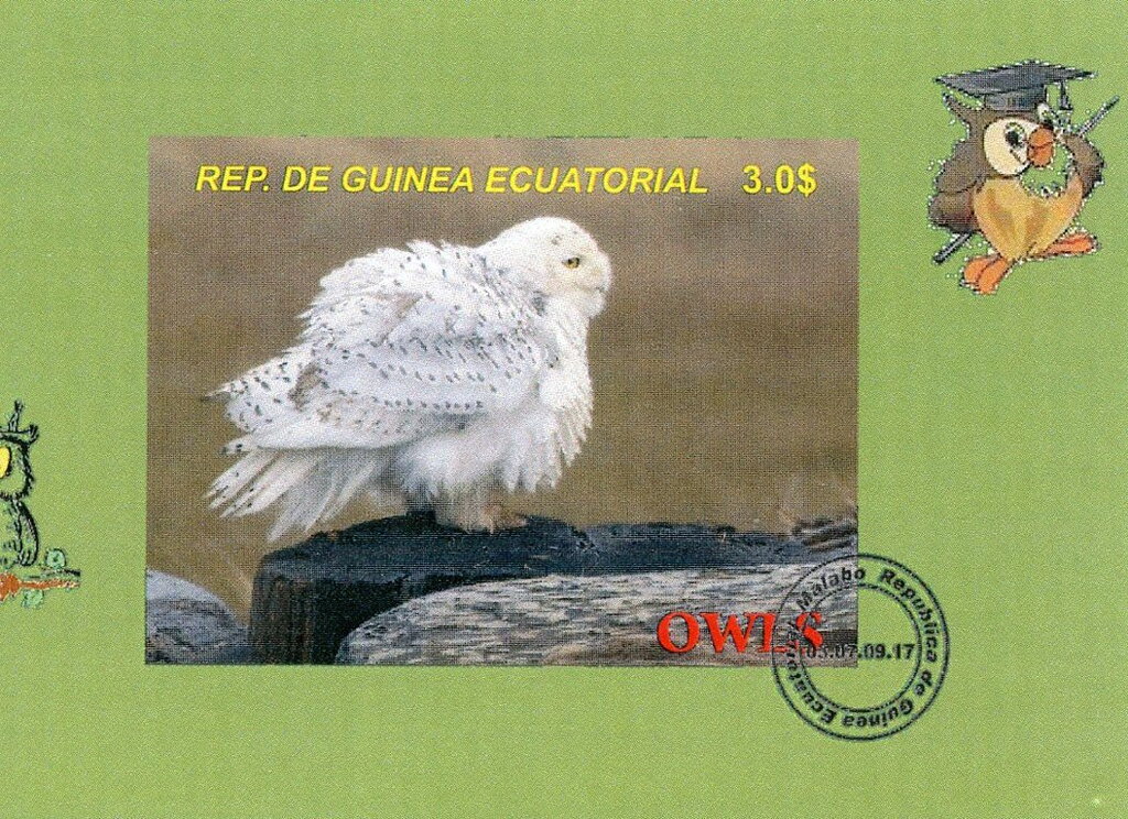 Owls