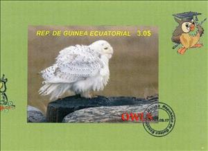 Souvenir Sheet, Owls, Equatorial Guinea,  , Animals (Fauna), Birds, Owls