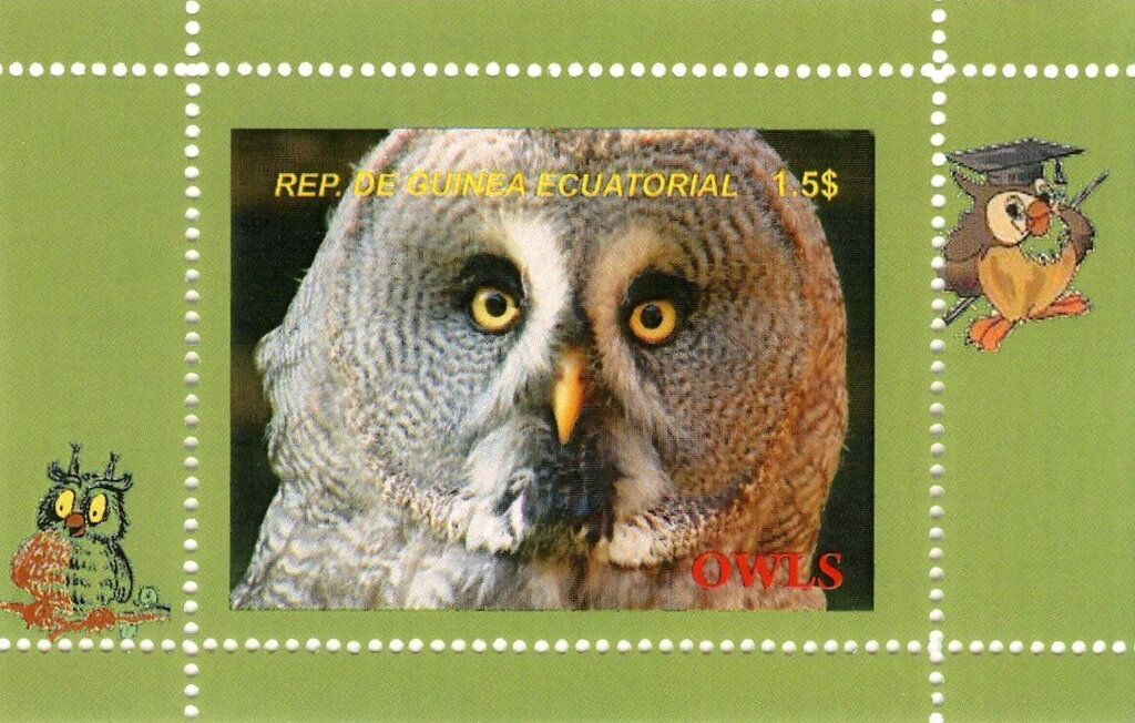 Owls