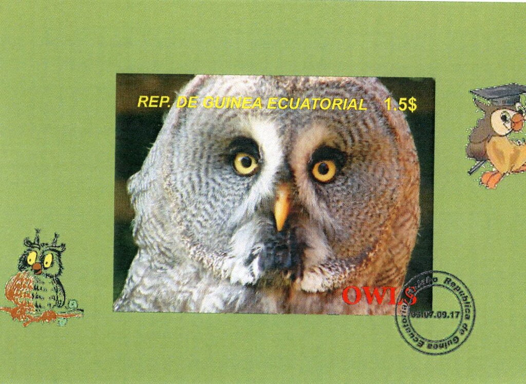Owls