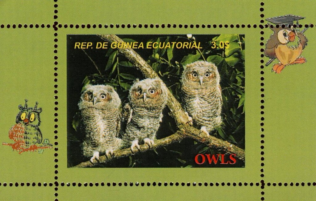 Owls
