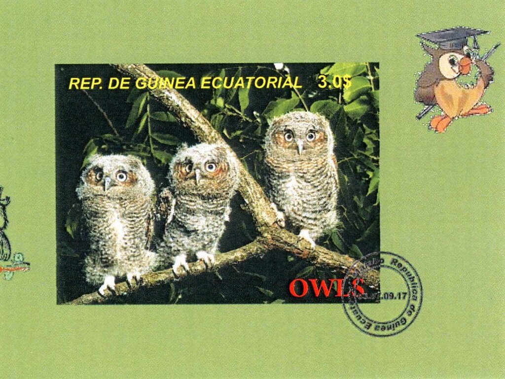 Owls