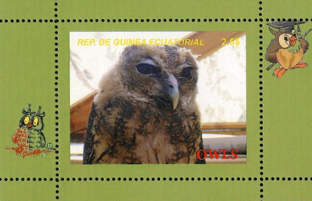 Owls