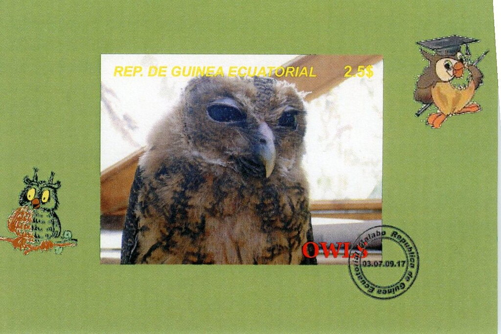 Owls
