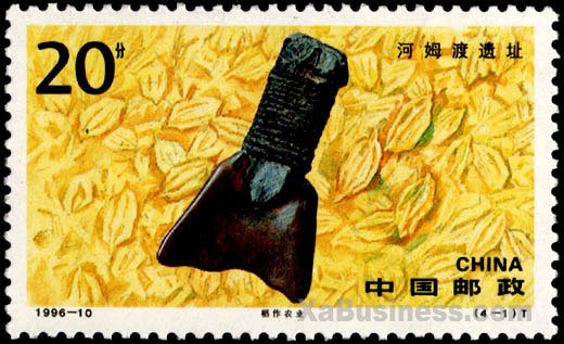 Paddy Agricolture